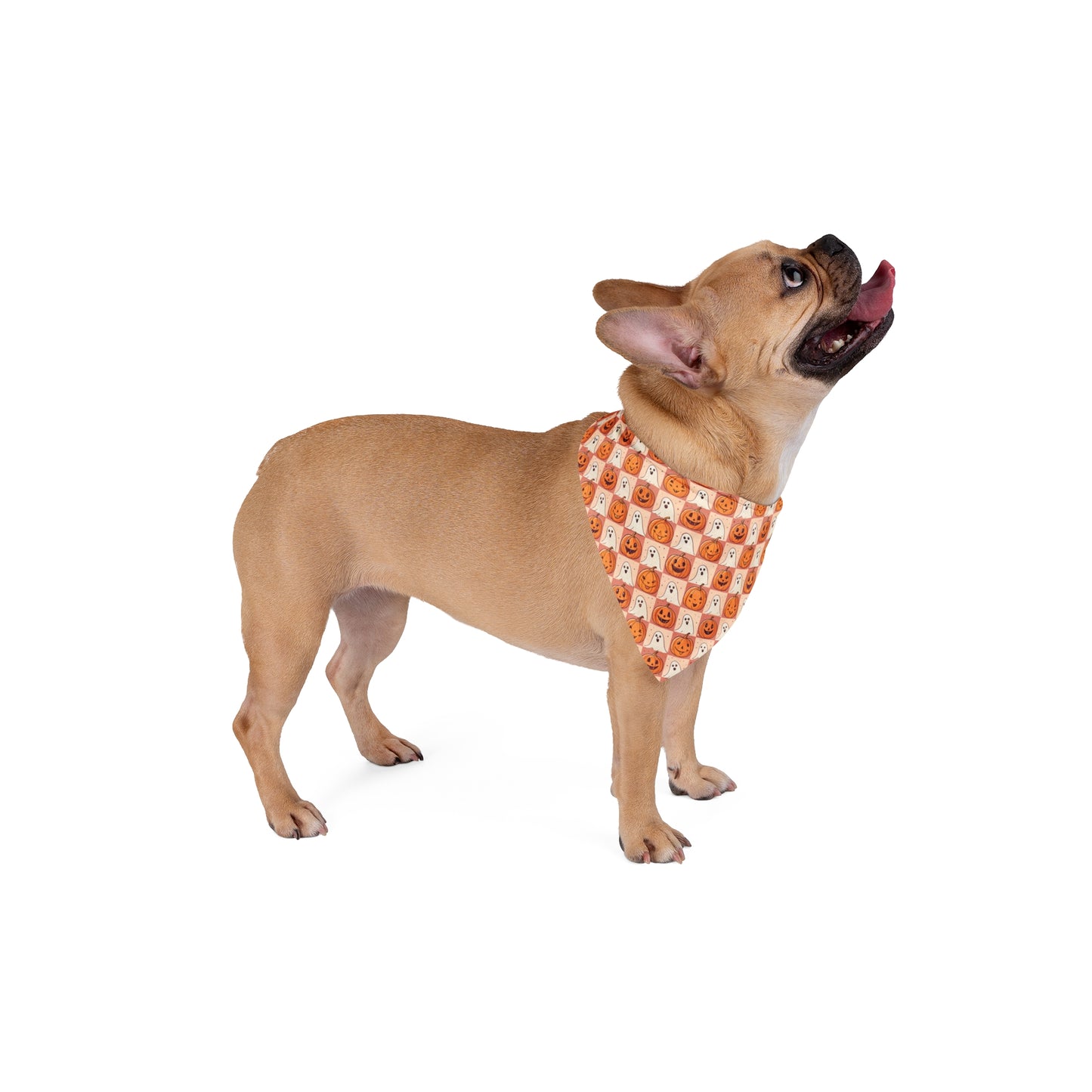 Halloween Dog Bandana | Pumpkin & Ghost Fall Pet Accessory | Cute Autumn Outfit for Dogs