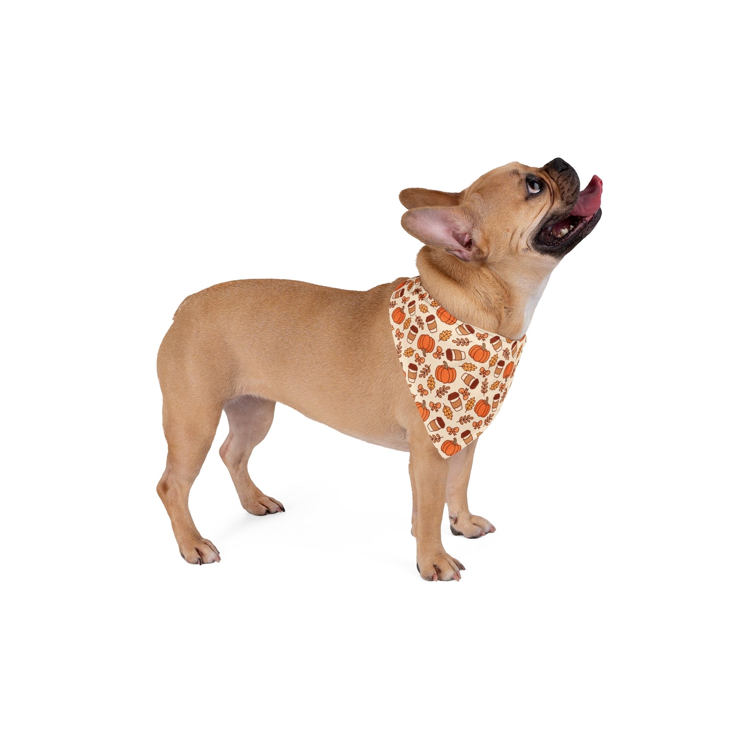 Pumpkin Spice Dog Bandana | Fall Pet Accessory | Cute Autumn Dog Outfit | Thanksgiving Dog Scarf | Gift for Dog Lovers