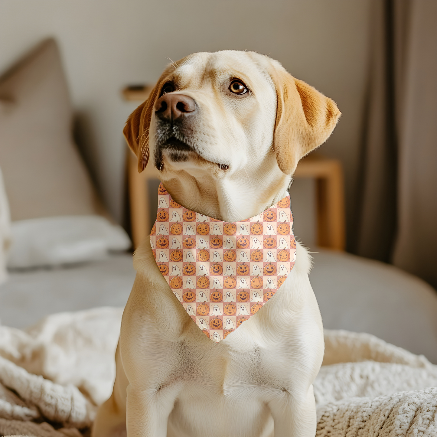Halloween Dog Bandana | Pumpkin & Ghost Fall Pet Accessory | Cute Autumn Outfit for Dogs