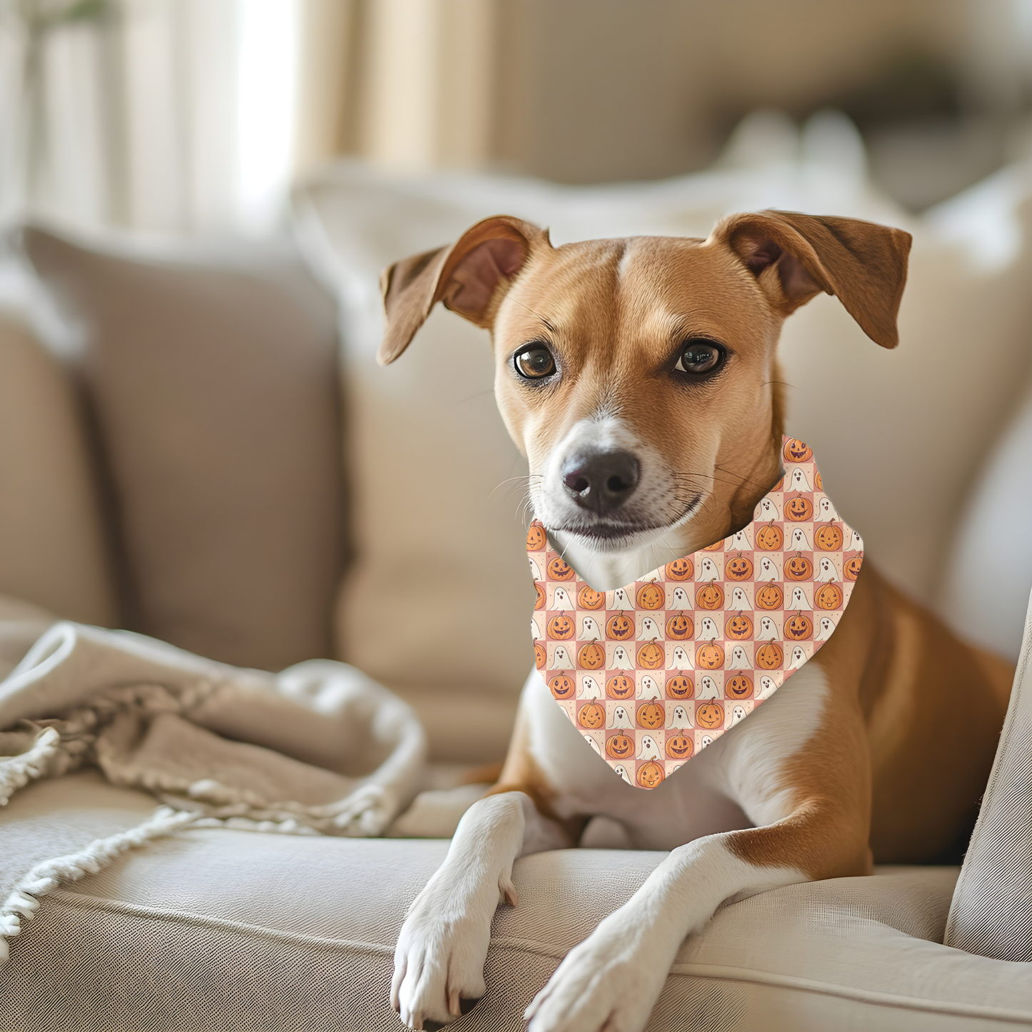 Halloween Dog Bandana | Pumpkin & Ghost Fall Pet Accessory | Cute Autumn Outfit for Dogs