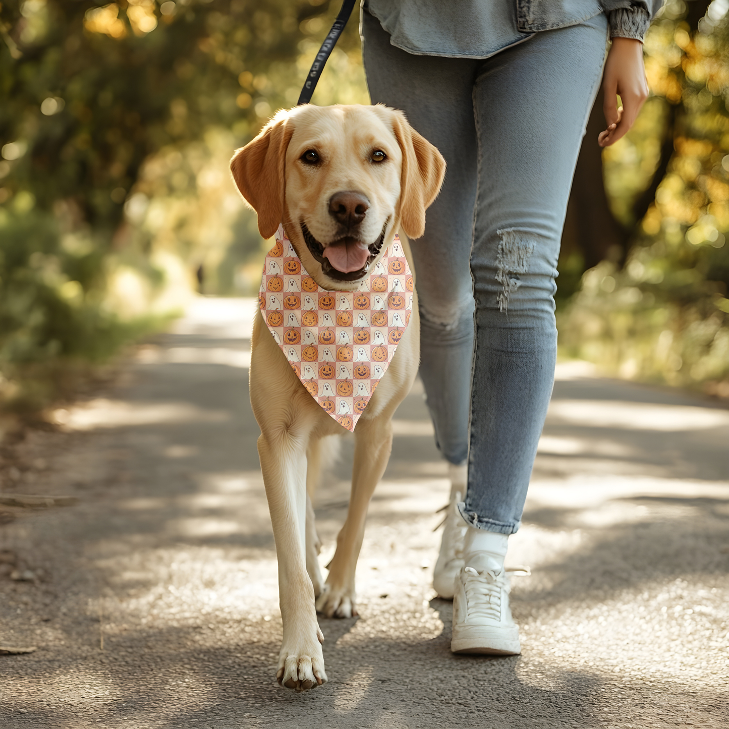 Halloween Dog Bandana | Pumpkin & Ghost Fall Pet Accessory | Cute Autumn Outfit for Dogs