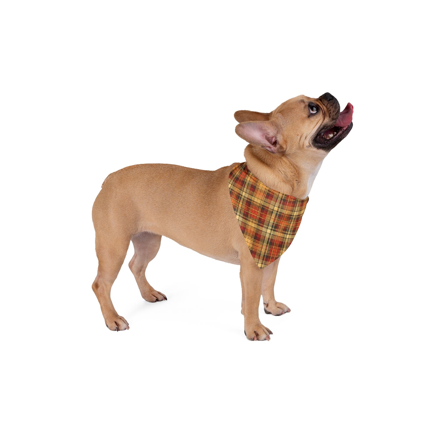 Plaid Dog Bandana | Fall Pet Accessory | Thanksgiving Dog Scarf | Autumn Dog Outfit | Cozy Checkered Pet Bandana | Gift for Dog Lovers